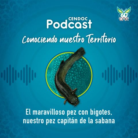 El maravilloso pez con bigotes, único en el mundo, que vive en Colombia