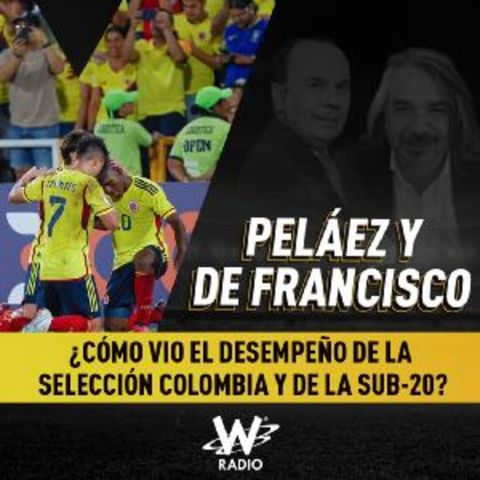 ¿Cómo vio el desempeño de la Selección Colombia y de la Sub-20?