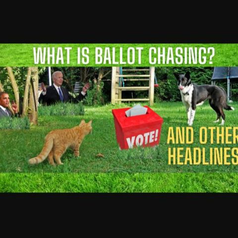 What Is Ballot Chasing - And Other Headlines Making The News