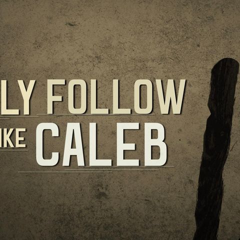 Follow Fully Like Caleb