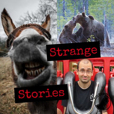 Strange Stories | Talking Donkeys - Numbers 22