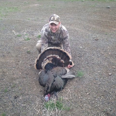 HJ Resolution 69 and Turkey Hunting