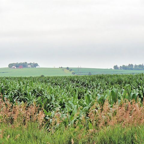 Così il clima modificherà l’agricoltura USA