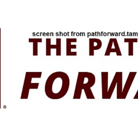 Texas A&M's chief operating officer updates the faculty senate on "The Path Forward" reorganization plan