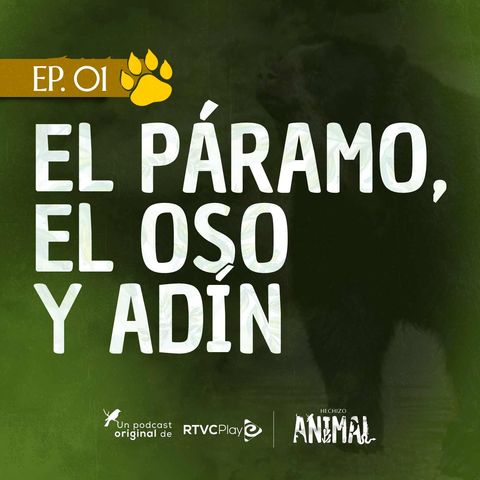 Capítulo 1: El páramo, el oso y Adín