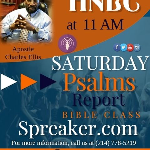 Palms Report