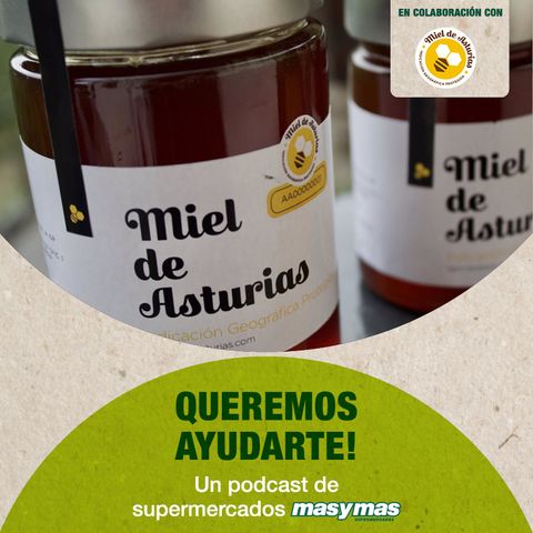 Todo sobre la miel de Asturias con Julio Fernández
