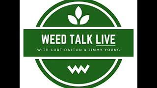 Alchemy League finally gets provisional cannabis license in Massachusetts! Weed Talk up next!