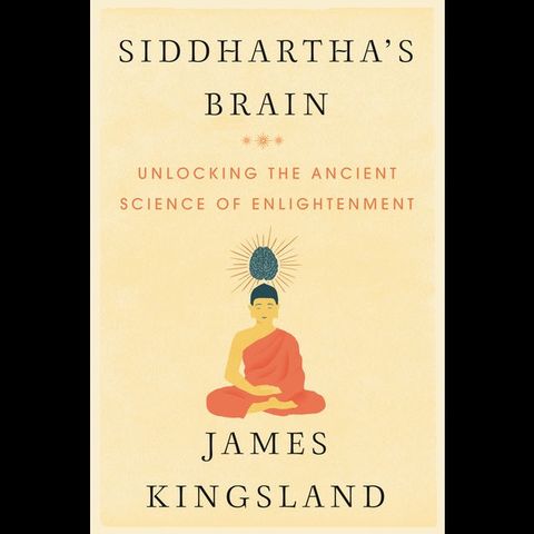 James Kingsland Siddharthas Brain