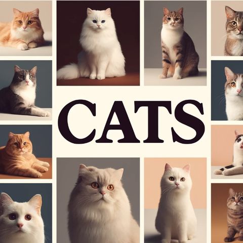 Top Cat Breeds - From Popular Persians to Exotic Savannahs