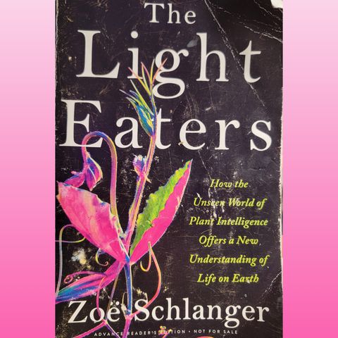 Zoe Schlanger, Author of The Light Eaters