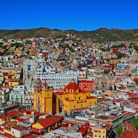Episodio 4 - Guanajuato - "Beneficios del consumo de Áloe Vera"