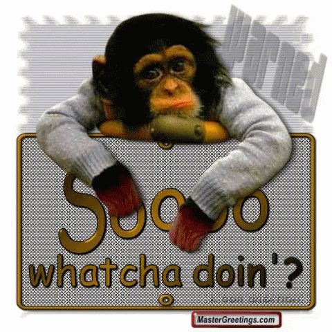 "WHATChA_DoinNg"-"918"