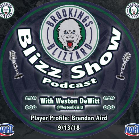 Blizz Show Podcast: Player Profile | Brendan Aird | 9/13/18