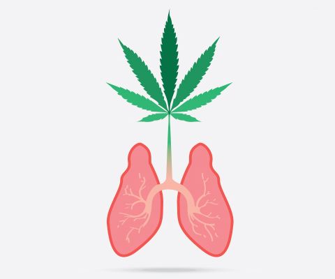 “Il fumo di cannabis crea gli stessi danni polmonari del tabacco, ma più in fretta”, l’ultima bufala di Repubblica