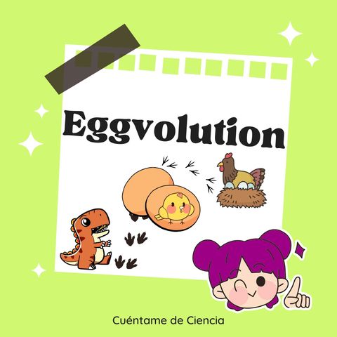 Eggvolution