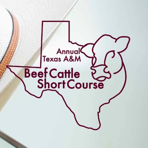 Beef Cattle Short Course
