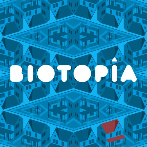 T01E12 - Capítulo 12: El ataque