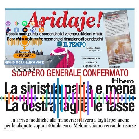 Rassegna stampa del 12 novembre 2024