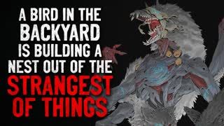 "A bird in the backyard is building a nest out of the strangest things" Creepypasta