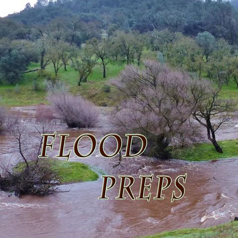 Flood Preps, Genesis 7:5-10