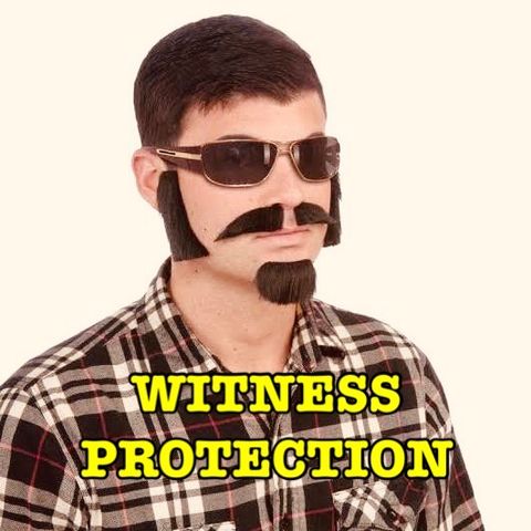 289 - Miniature Witness Protection Program