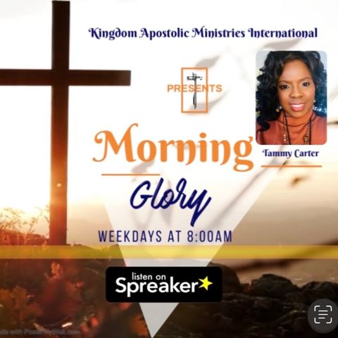 Morning Glory
