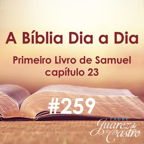 Curso Bíblico 259 - Primeiro Livro de Samuel 23 - Davi em Ceila, Davi no Deserto - Padre Juarez de Castro