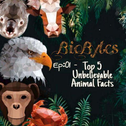 Top 5 Amazing Animal Facts