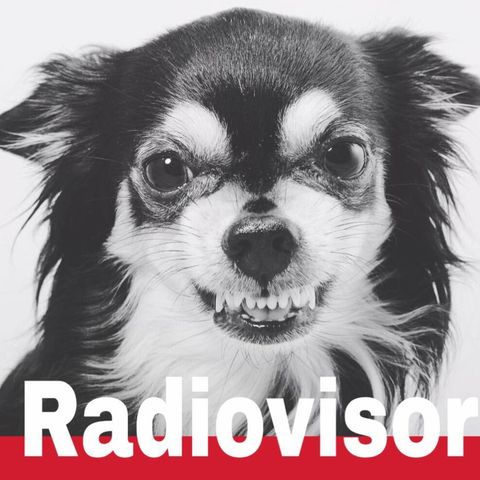 RADIOVISOR - The Fools Like Me