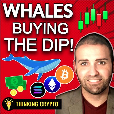 🚨Whales BUY the Bitcoin & Crypto DIP After the Market Crashed!🤯