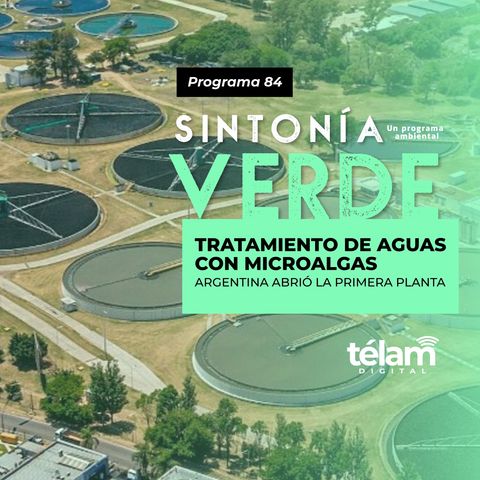 Tratamiento de aguas con microalgas: Argentina abrió la primera planta