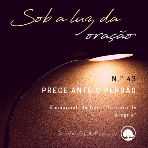 N.º 43 - Prece ante o perdão