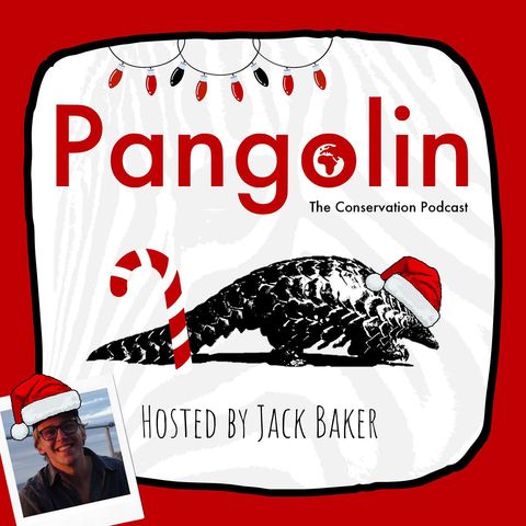 INTRODUCING: Pangolin: The Conservation Podcast, the Holiday Crossover Bonanza!
