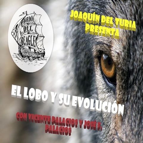 El lobo, su evolución y Never cry wolf con Vicente Palacios