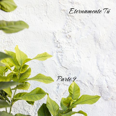 Tú 4 | Parte 9