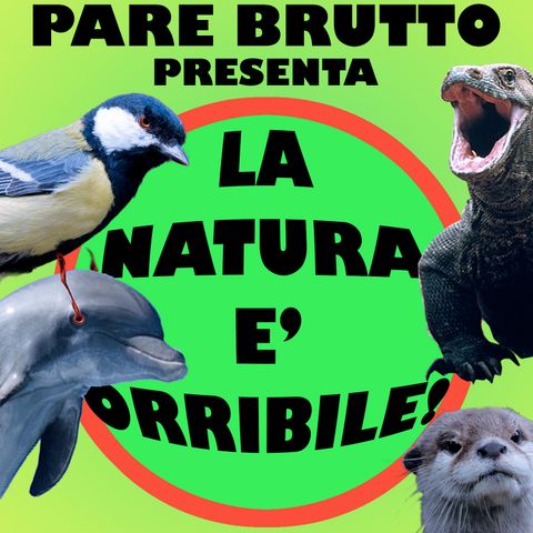 Puntata 12 - Una scomoda verità: La Natura è orribile!!!