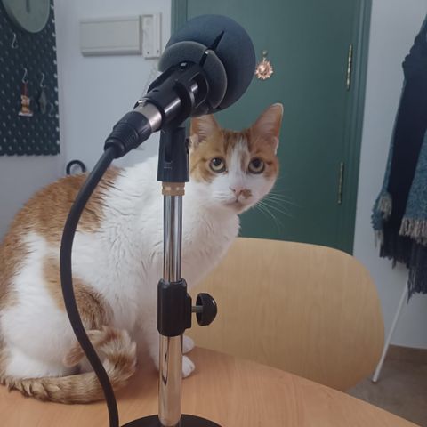 1 - Mixie