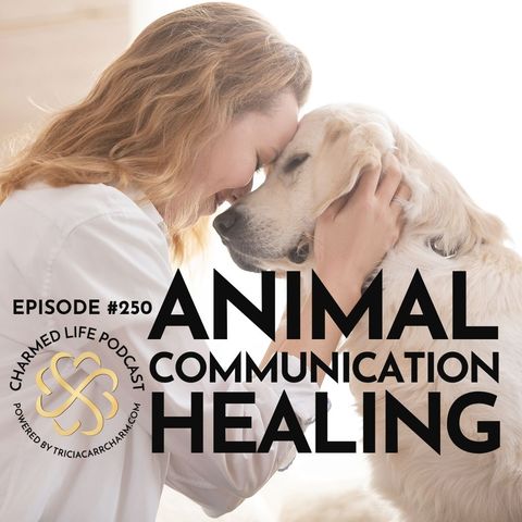 250: Animal Communication + Healing | Julie Jeanne Bassett