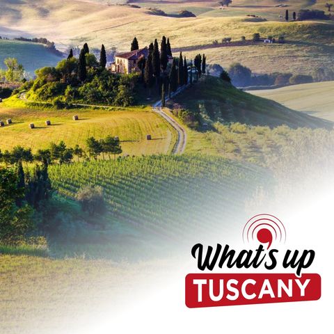 10 parole che usiamo solo in Toscana - Ep. 58