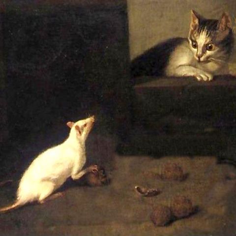 Fratelli Grimm: Gatto e topo in società