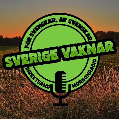 Sverige vaknar - 19 november 2020