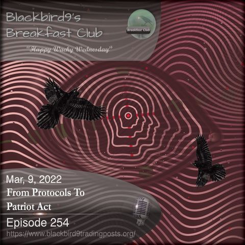 From Protocols to Patriot Act - Blackbird9 Podcast