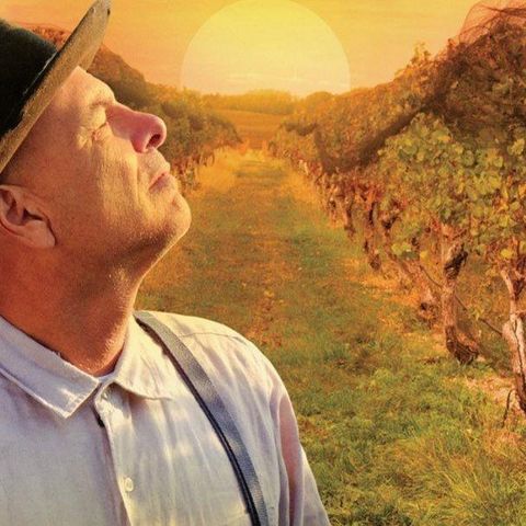 FROM THE VINE - Joe Pantoliano Interview
