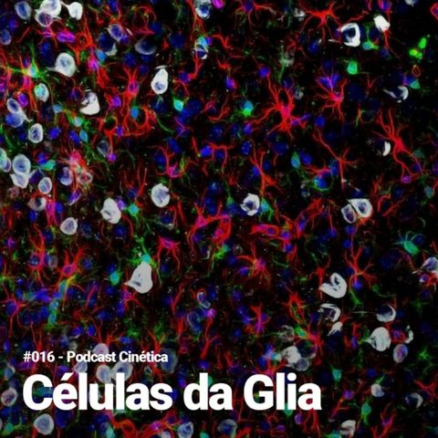 #016 células da glia