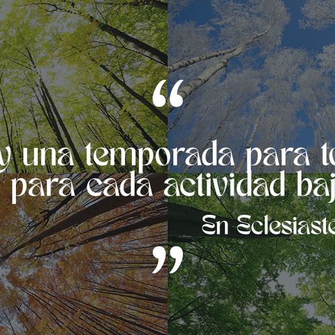 Puntualidad