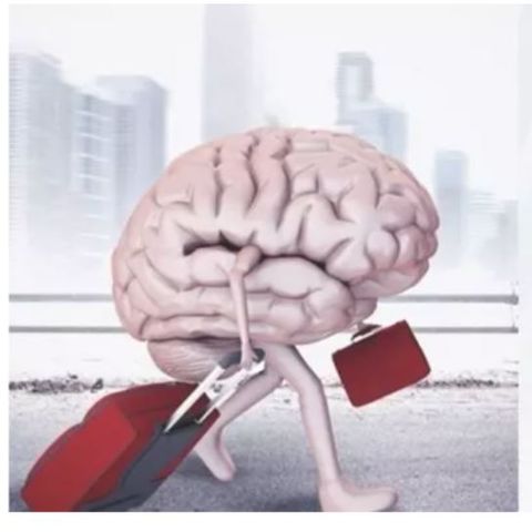 «خالص‌سازی» و فرار مغزها