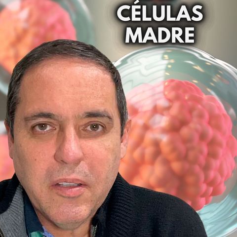 🧏🏻‍♀️ ¿CÓMO FUNCIONAN LAS CÉLULAS MADRE?✍🏼