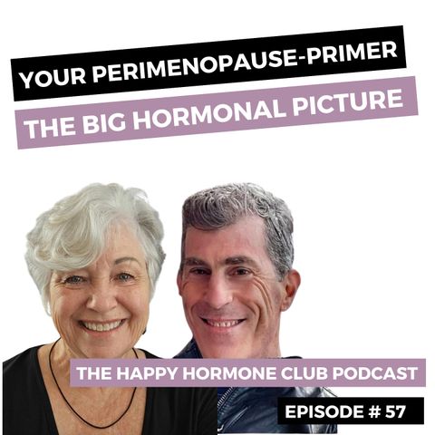 #57: Your Perimenopause Primer:  The Big Picture You Need To Understand