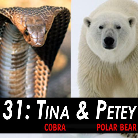 31 - Tina the Cobra & Petey the Polar Bear LIVE!